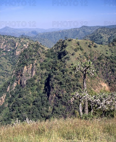 Sigur range hills cape view near Ooty