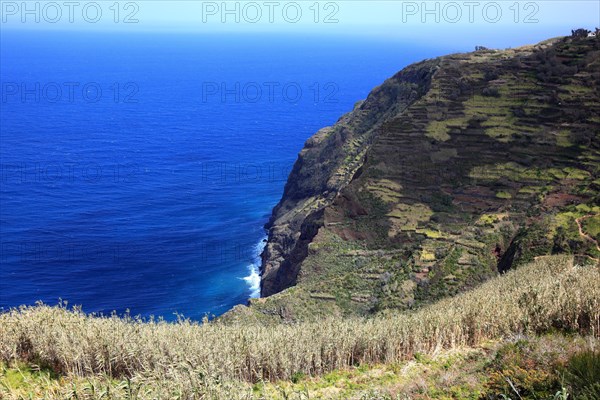 Landscape on the west coast near Porto Moniz