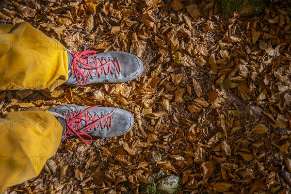 Hiking boots on forest floor