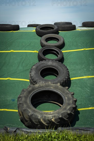 Old rubber tyres on a silage heap