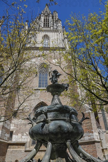 Dolphin fountain on Muensterplatz by Wolfgang Neithard