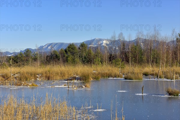 Frozen moor pond with hoarfrost