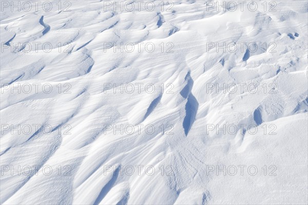 Snowdrift