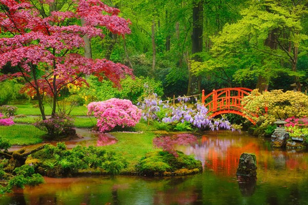 Small bridge in Japanese garden