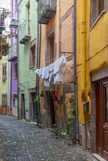 Colorful houses