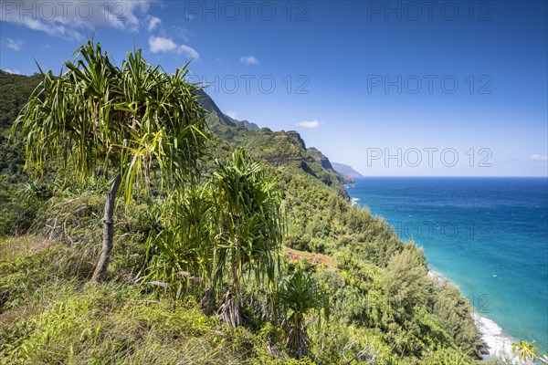 Blick vom Kalalau Trail auf die Na Pali Coast