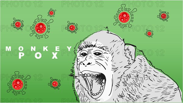 Monkeypox virus conceptual design