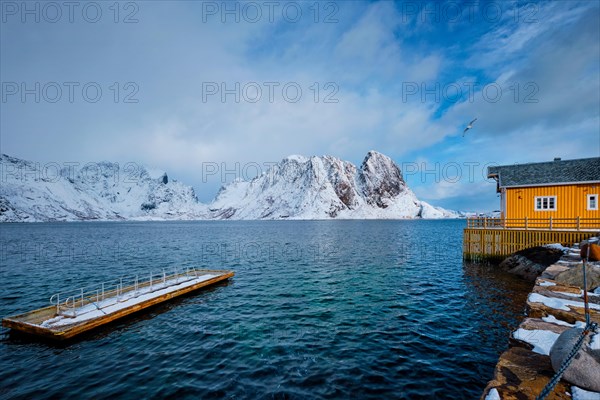 Yellow traditional rorbu house in Sakrisoy fishing village in norwegian fjord in winter on Lofoten Islands