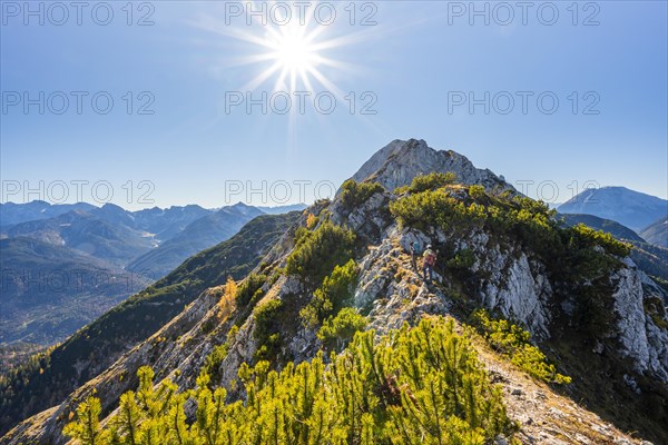 Hikers on a hiking trail