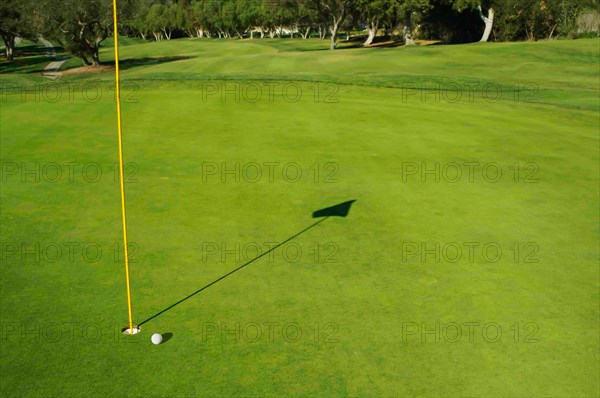 Close-up of golf course green