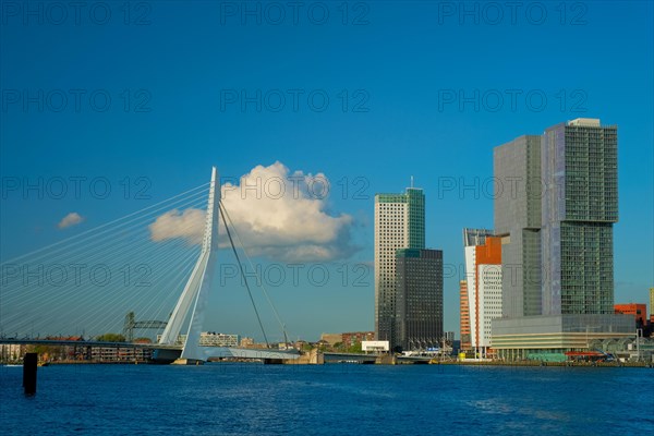 View of Rotterdam skyscrapers skyline and Erasmusbrug bridge view over of Nieuwe Maas river