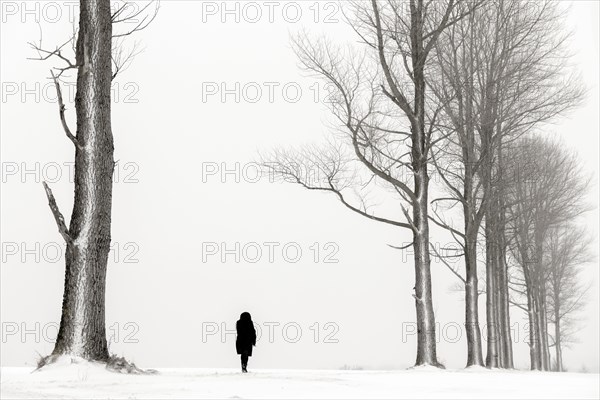 Einsame Frau laeuft in winterlicher Baum Allee