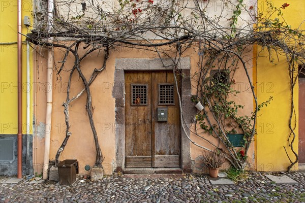 Colorful house front with wooden door