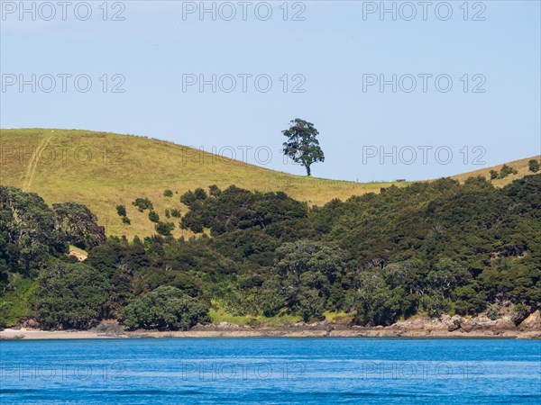 Bay of Islands Coast