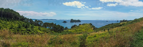 Coast at Cathedral Cove Walk