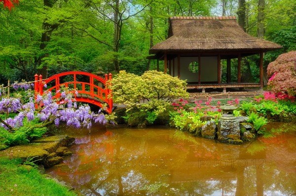 Small bridge in Japanese garden