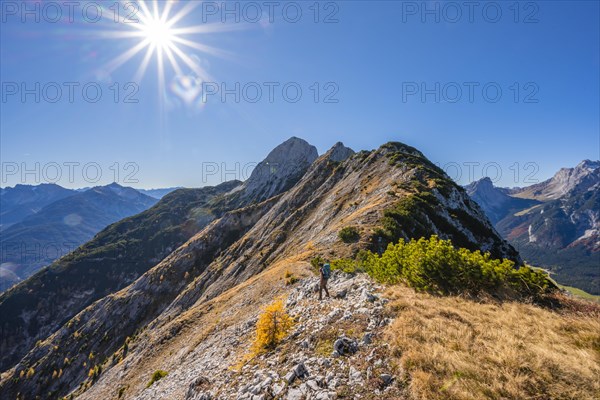 Hikers on a hiking trail