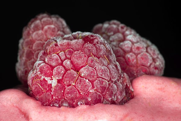 Close-up of three frozen raspberries on a raspberry ice cream