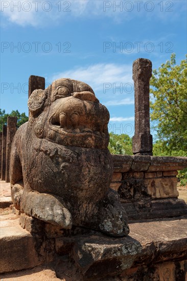 Lion statue stone on entrance of Audience Hall of King Parakramabahu ruins in Royal Palace group in ancient city Pollonaruwa