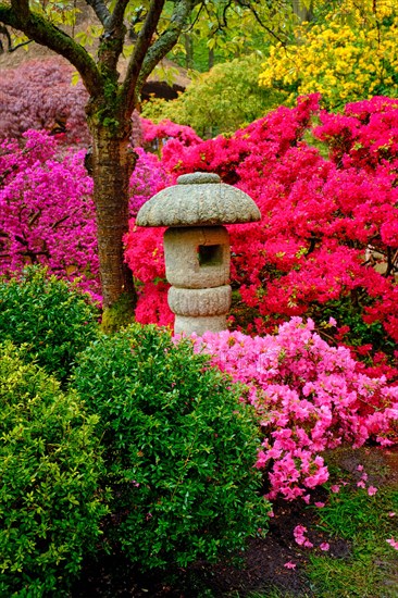 Stone lantern in Japanese garden with blooming flowers