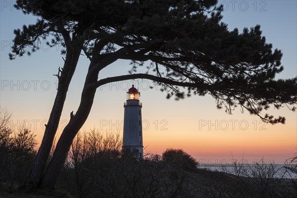 Sonnenaufgang am Leuchtturm Dornbusch auf dem Schluckwieksberg