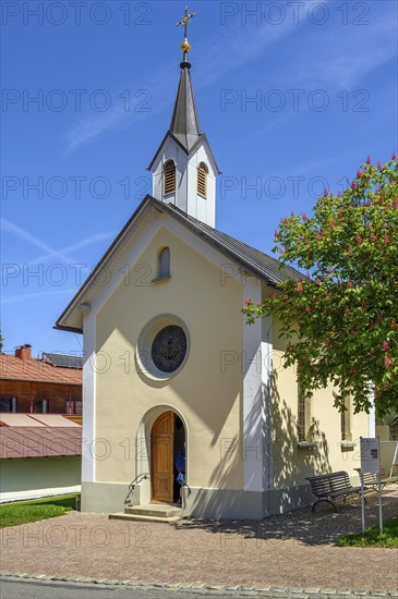 Lourdes Chapel from 1895 and red flowering horse-chestnut