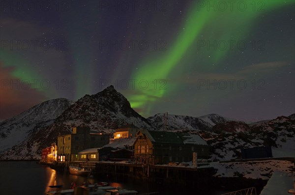 Small harbour with illuminated houses