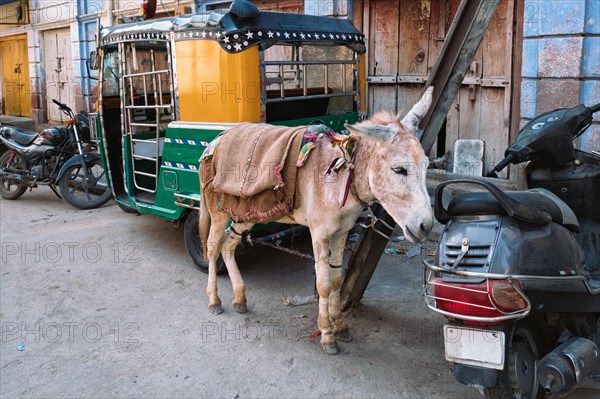 Means of transport in India