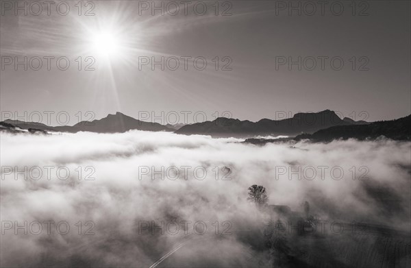 Schafberg und Drachenwand ragen aus dem Nebelmeer