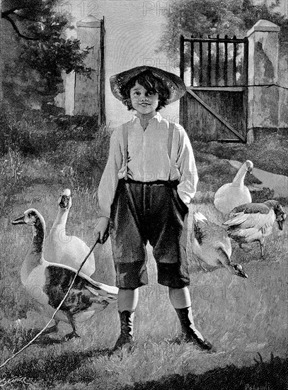 City child on summer holiday in the countryside