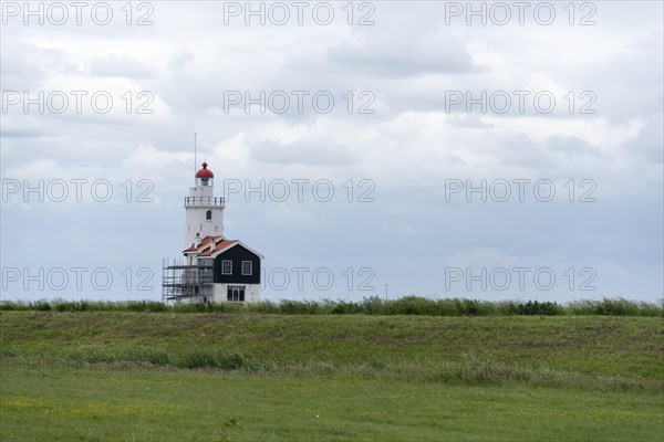 Paard van Marken