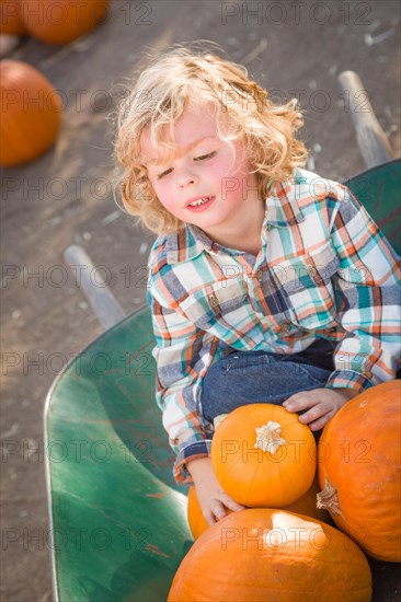 Little boy sitting in a wheelbarrow next to his pumpkins in a rustic ranch setting at the pumpkin patch