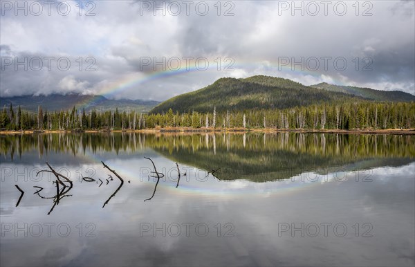 Rainbow in dark clouds over a forest