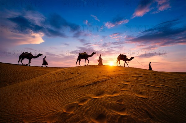 Indian cameleers