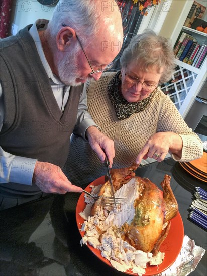 Senior adult couple cutting the holiday Turkey together in the kitchen