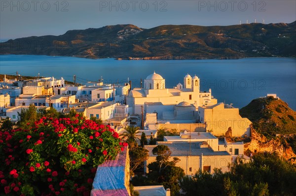 View of Plaka village on Milos island over red geranium flowers on sunset