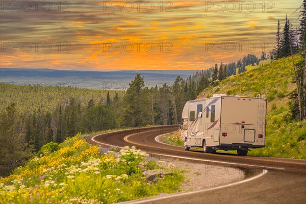 Camper driving down road in the beautiful countryside among pine trees and flowers