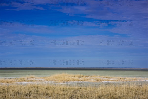 Landscape at the edge of the salt pan