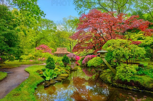 Little Japanese garden after rain