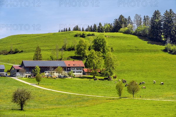 Baurernhof with solar roof in Fruehlingswiesen near Stiefenhofen