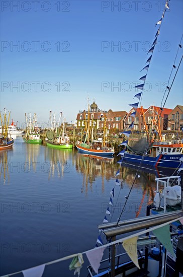 Fishing cutter harbour