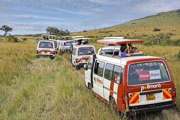 Lots of tourist buses watching animals in the Masai Mara