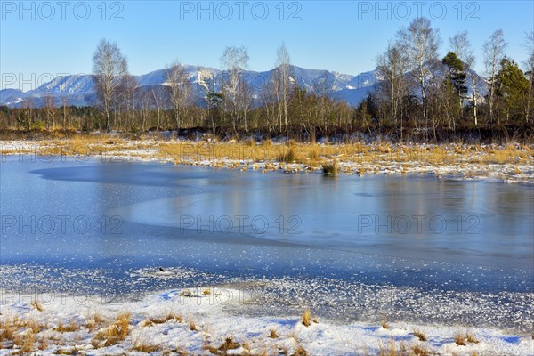 Frozen moor pond with hoarfrost