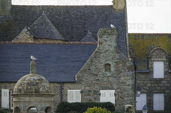 Chapel Saint-Ninien and old dwellings at the port of Roscoff