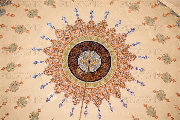 Floral art pattern example of the Ottoman time