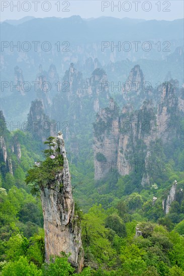 Famous tourist attraction of China