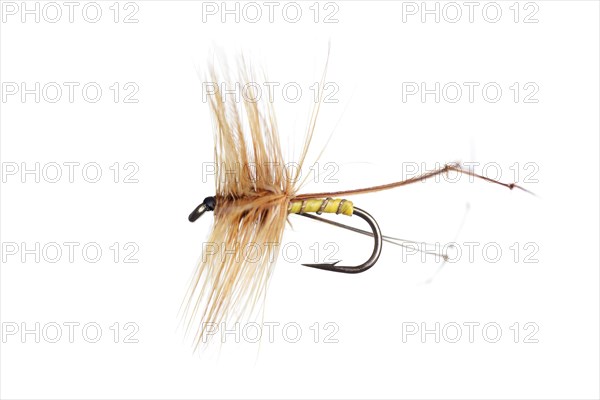 Fishing Fly isolated against a white background