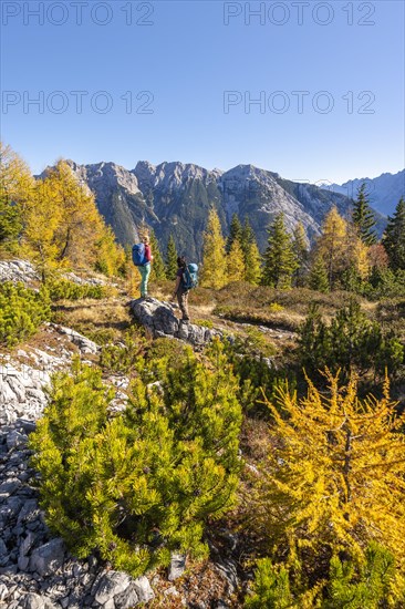 Two hikers in the landscape