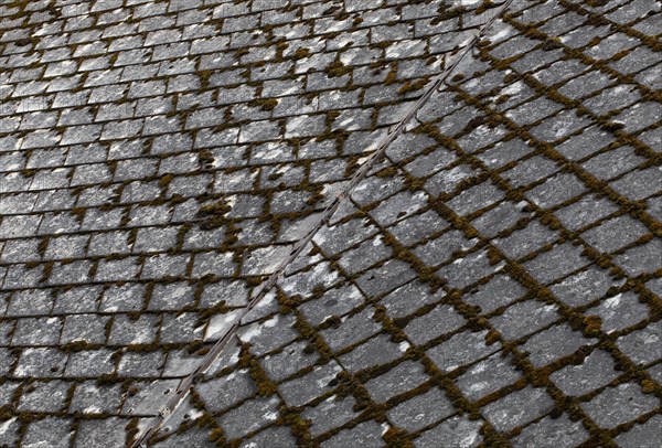 Old mossy and weathered house roof