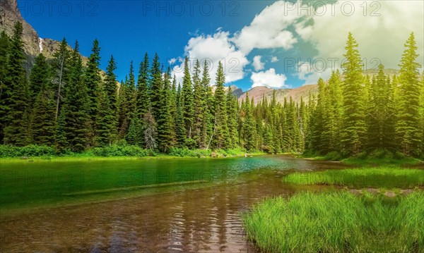 Beautiful nature view in Glacier National Park